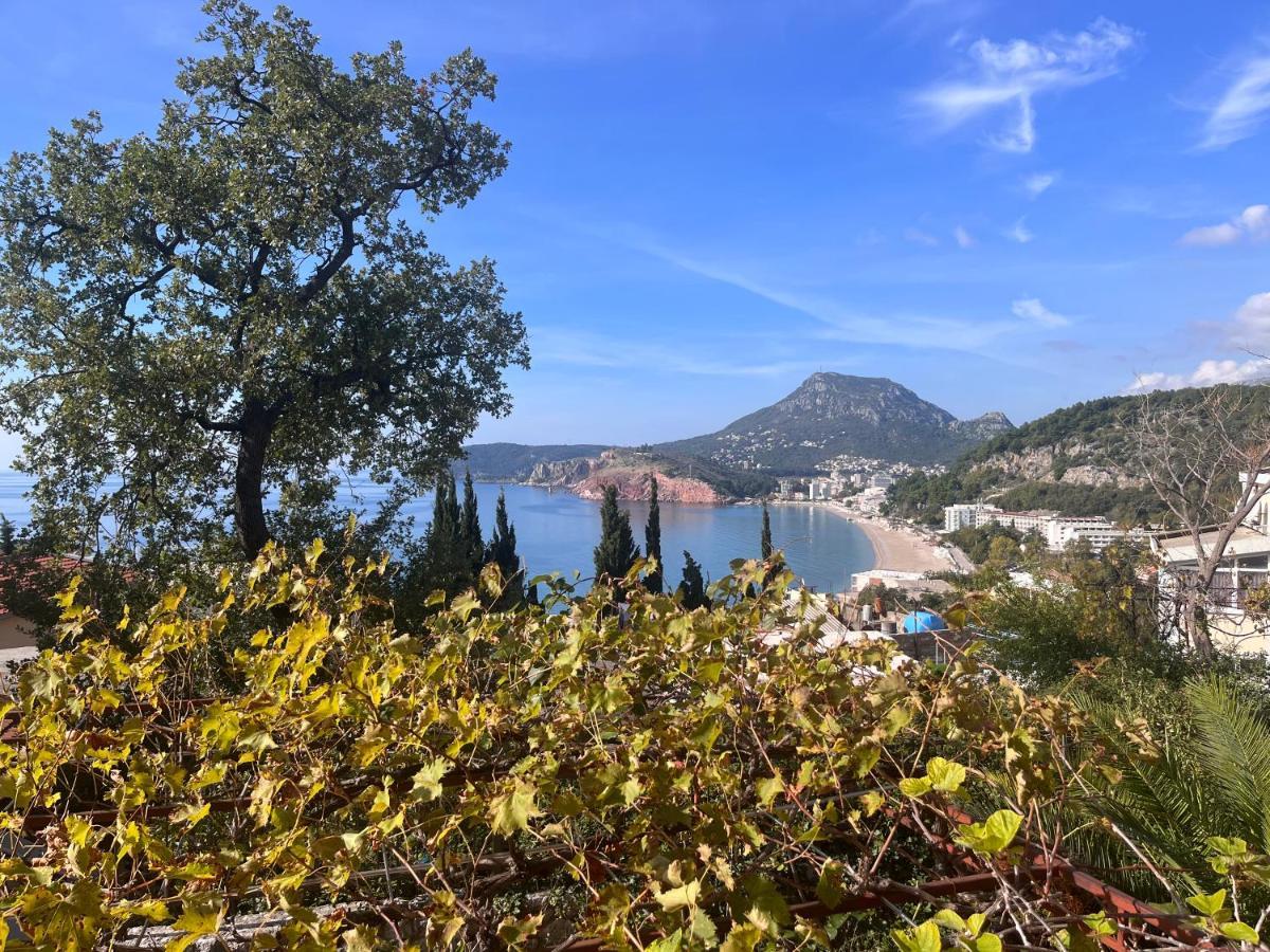 Apartments In Villa Viktoria Sutomore Εξωτερικό φωτογραφία