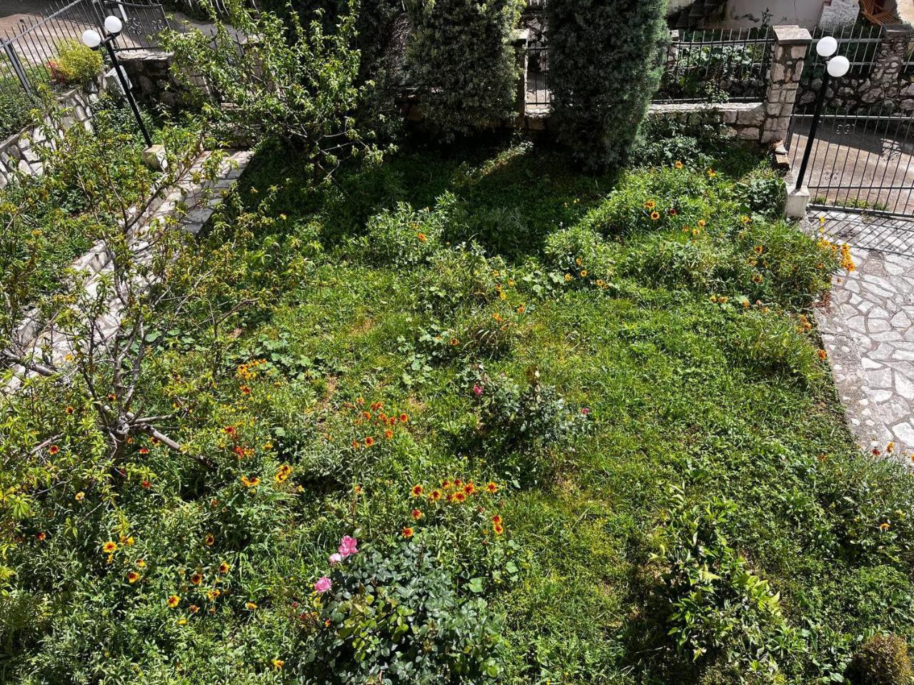 Apartments In Villa Viktoria Sutomore Εξωτερικό φωτογραφία